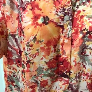 Fall Colored Button Down Sheer Blouse